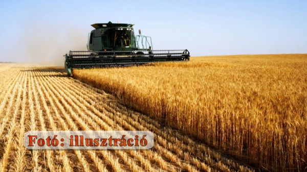 Indula az aratási szezon - katasztrófavédelmi tájékoztató